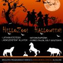 1. Halloween Est a Miskolci Állatkertben